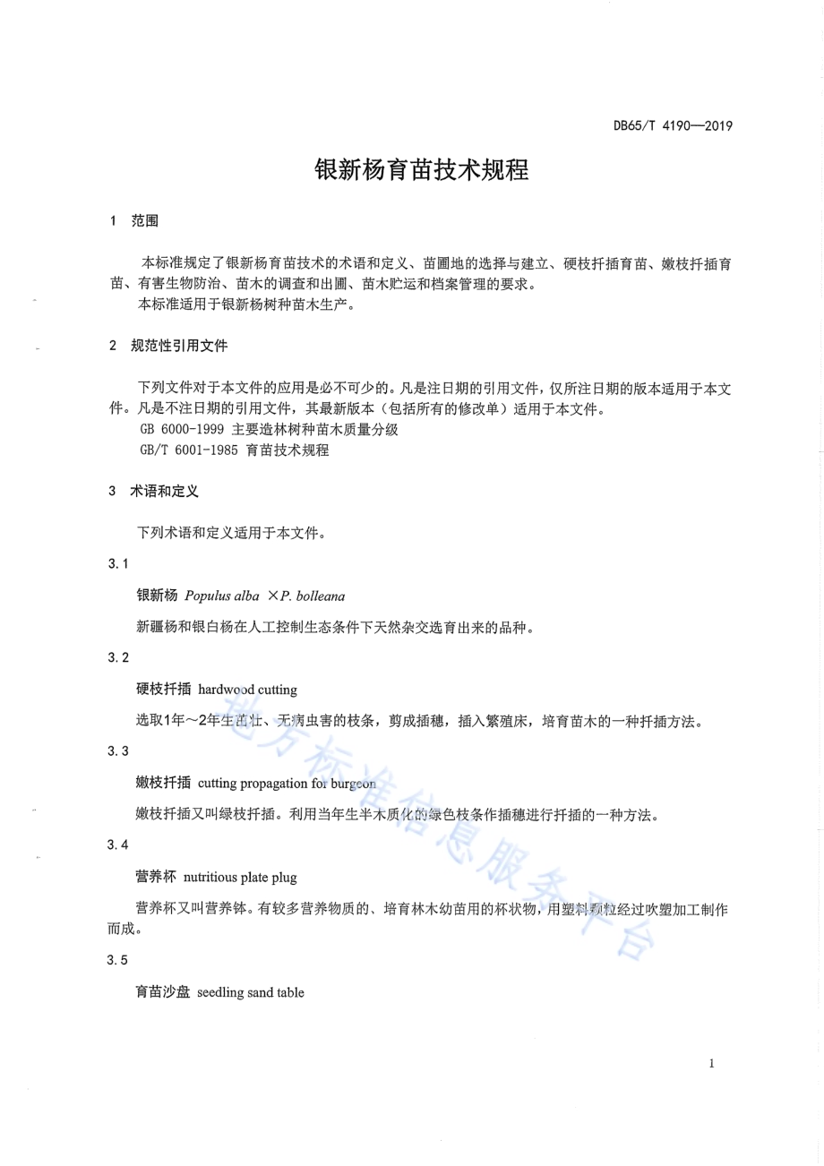 银新杨育苗技术规程DB65／T 4190-2019.pdf_第5页