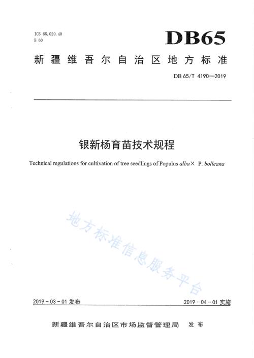 银新杨育苗技术规程DB65／T 4190-2019.pdf