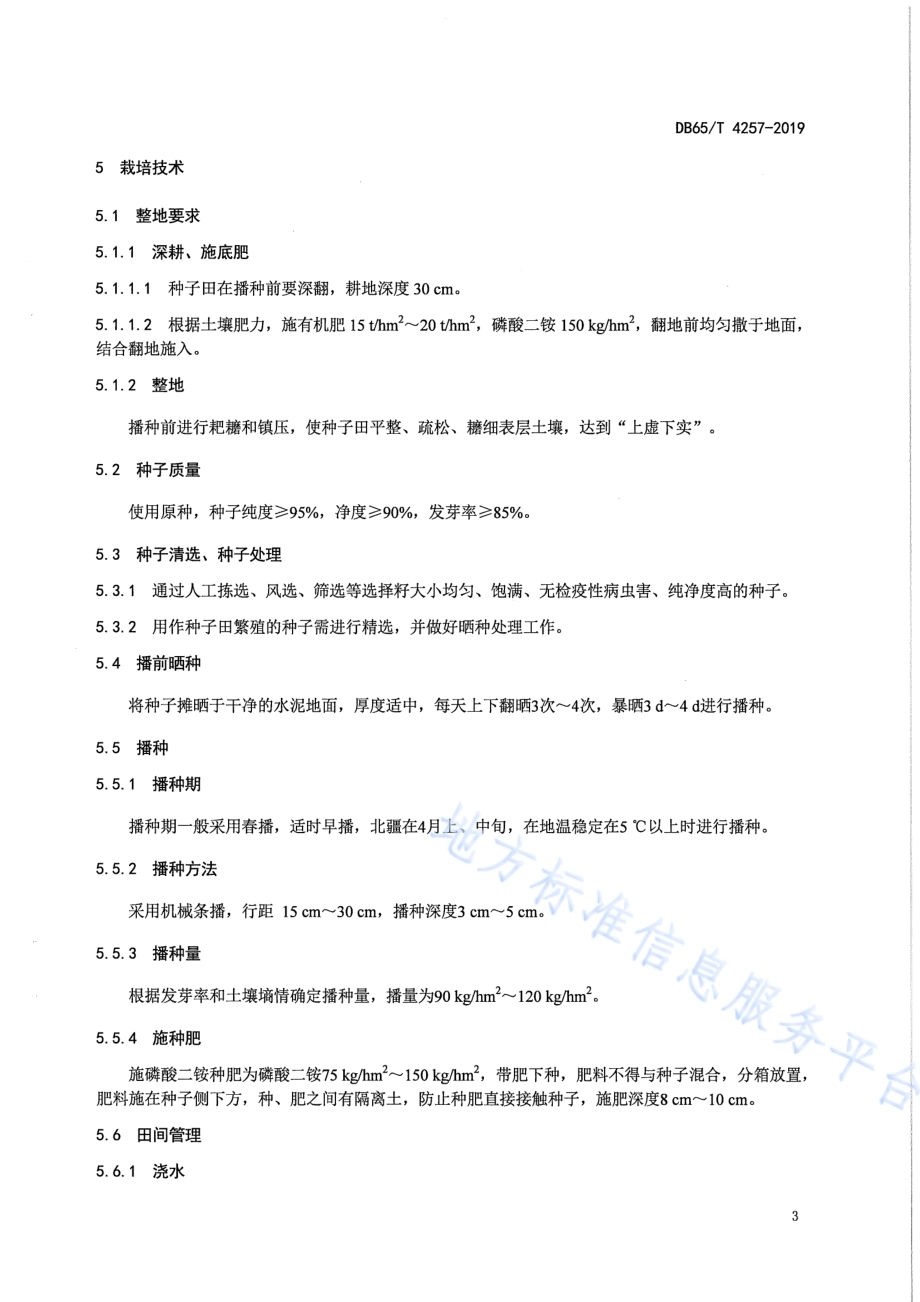 北疆苏丹草良种生产技术规程DB65／T 4257-2019.pdf_第4页