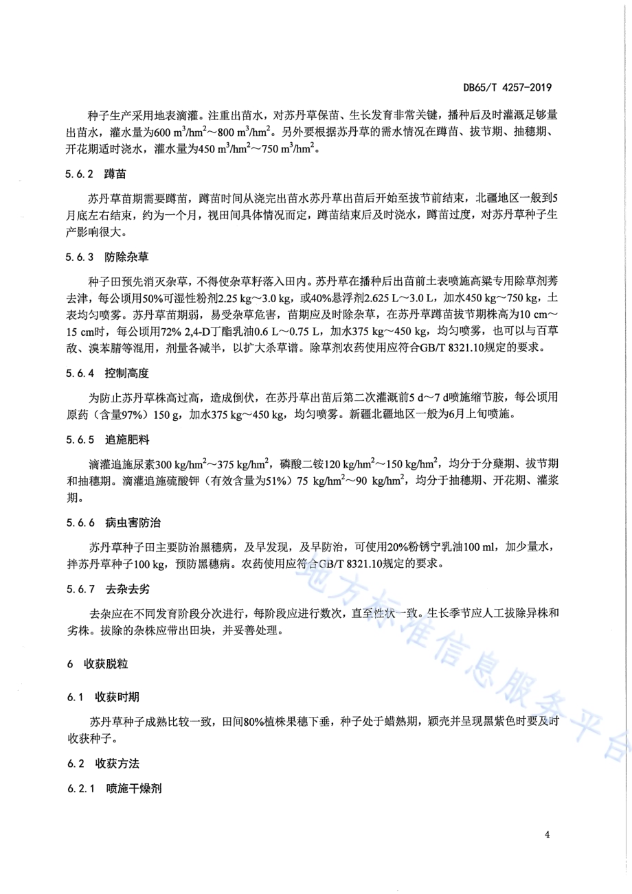 北疆苏丹草良种生产技术规程DB65／T 4257-2019.pdf_第5页