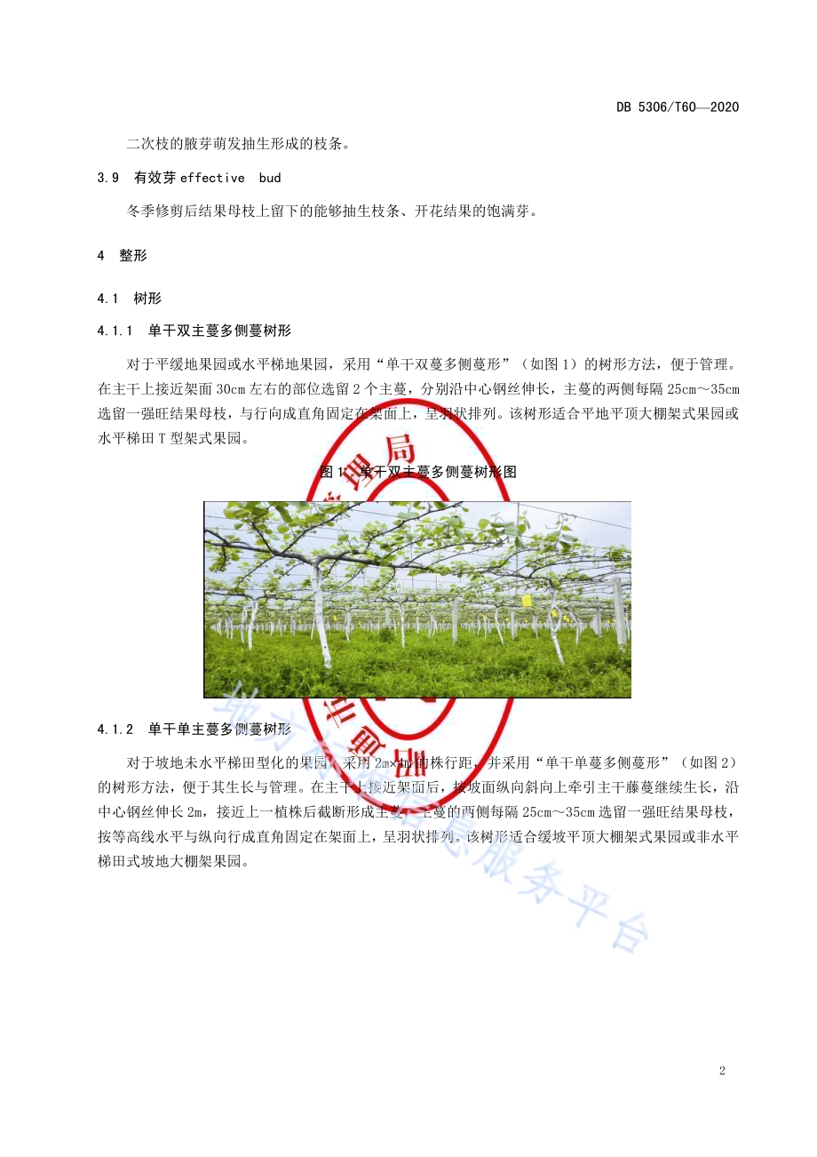昭通猕猴桃整形修剪技术规程DB 5306／T60-2020.pdf_第5页