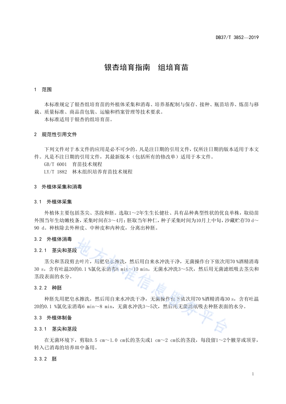 银杏培育指南　组培育苗DB37／T 3852—2019.pdf_第3页