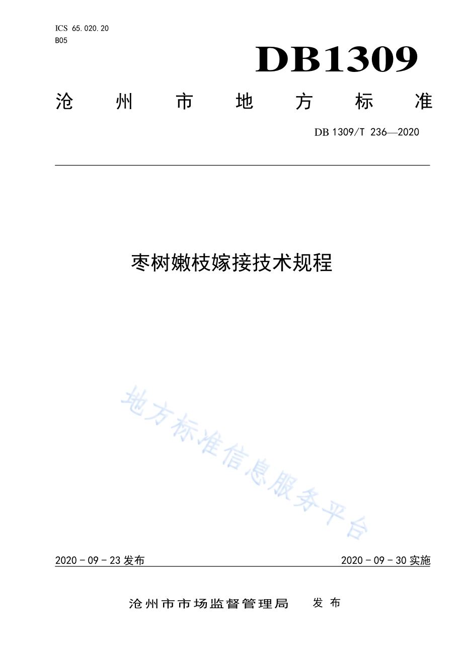 枣树嫩枝嫁接技术规程DB1309／T 236-2020.pdf_第1页