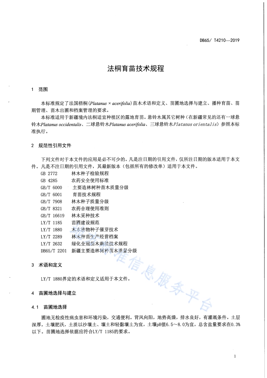 法桐育苗技术规程DB65／T 4210-2019.pdf_第5页