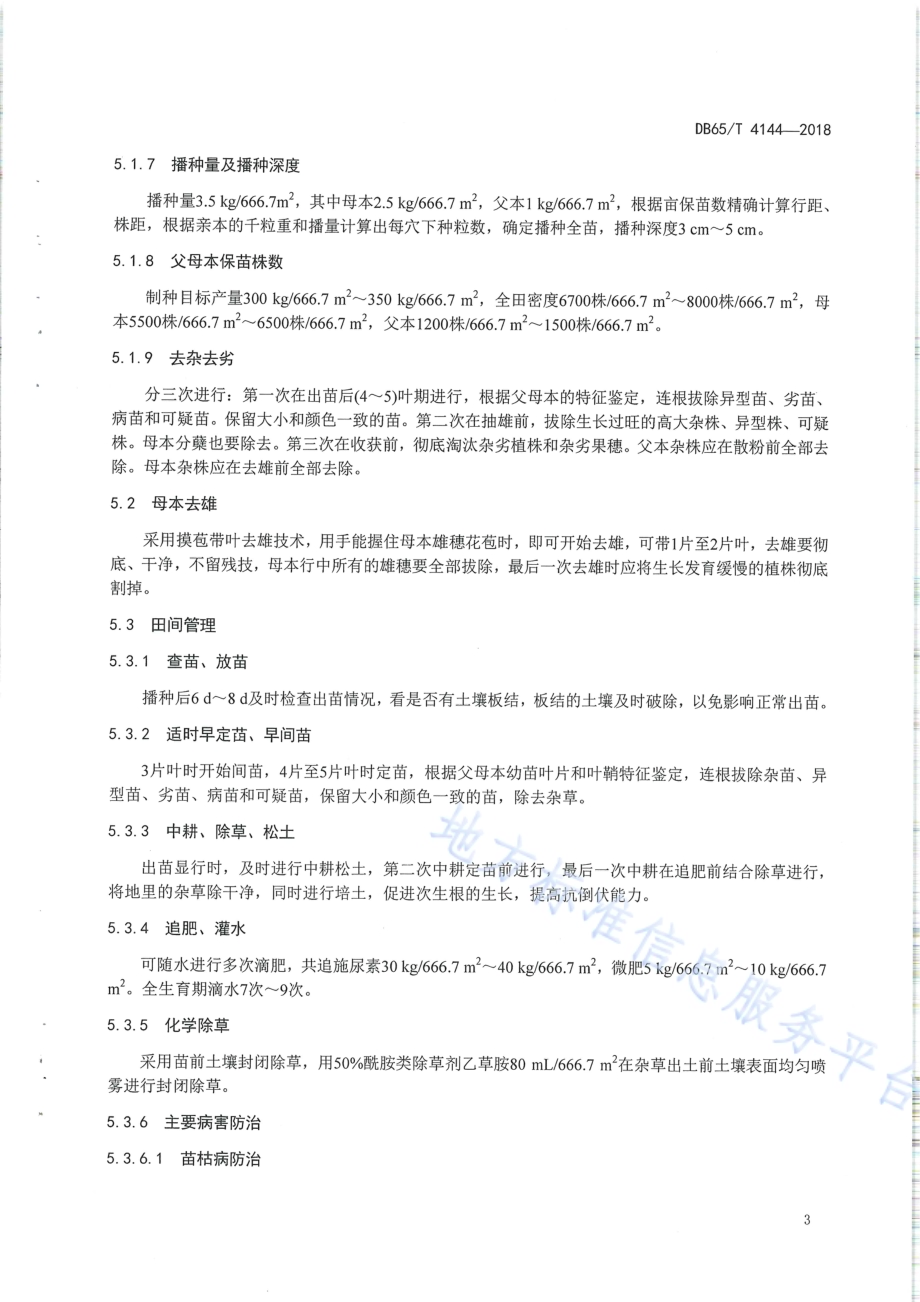 早熟玉米新玉29 号杂交制种技术规程DB65／T 4144-2018.pdf_第5页