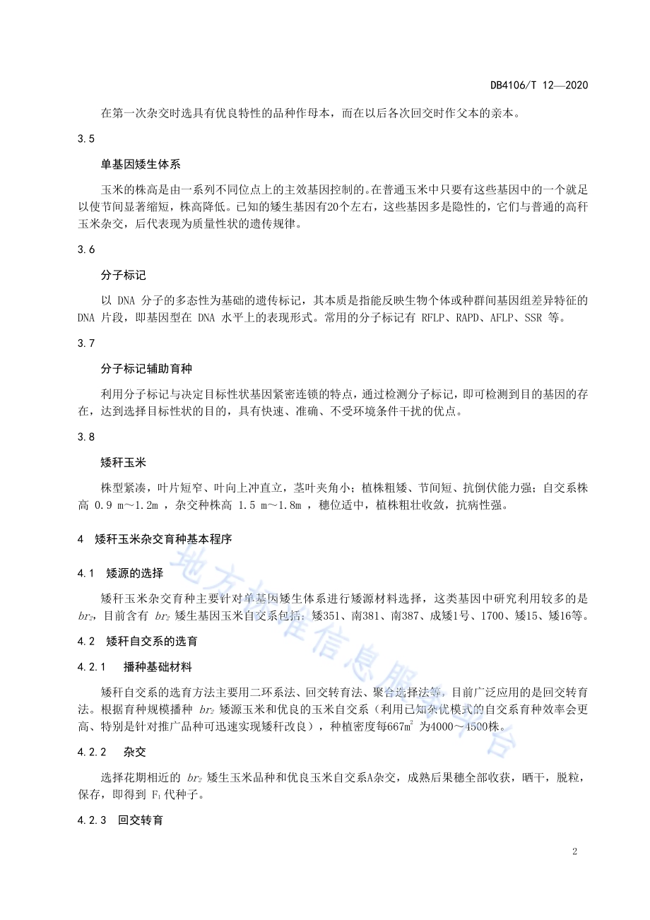 玉米矮秆杂交育种技术操作过程DB4106／T 12-2020.pdf_第4页