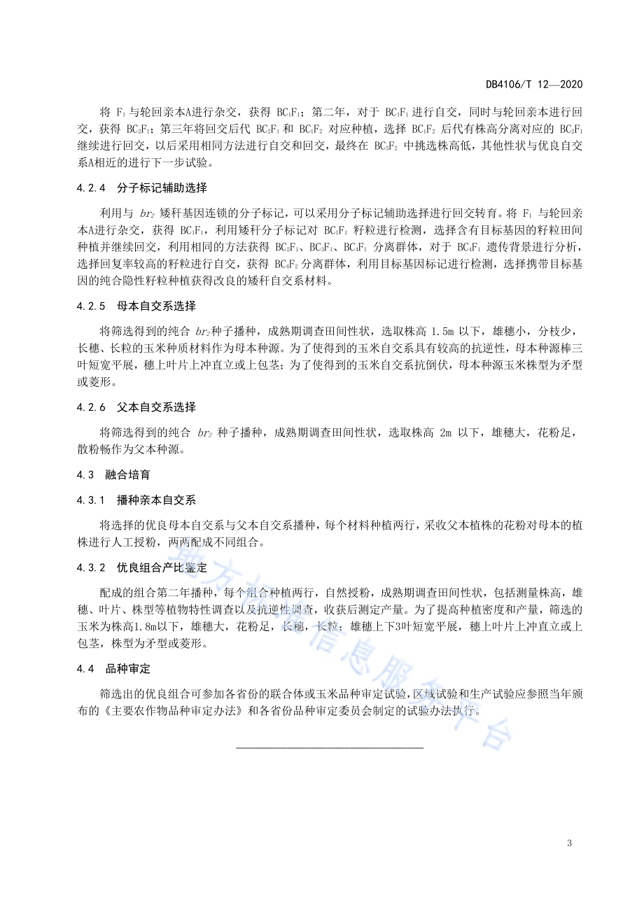 玉米矮秆杂交育种技术操作过程DB4106／T 12-2020.pdf_第5页