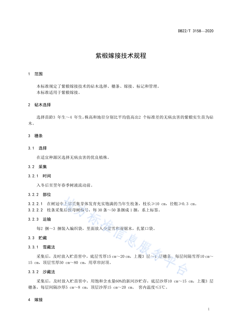 紫椴嫁接技术规程DB22／T 3158-2020.pdf_第5页