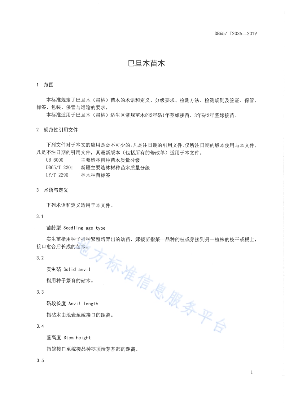 巴旦木苗木DB65／T 2036-2019.pdf_第3页