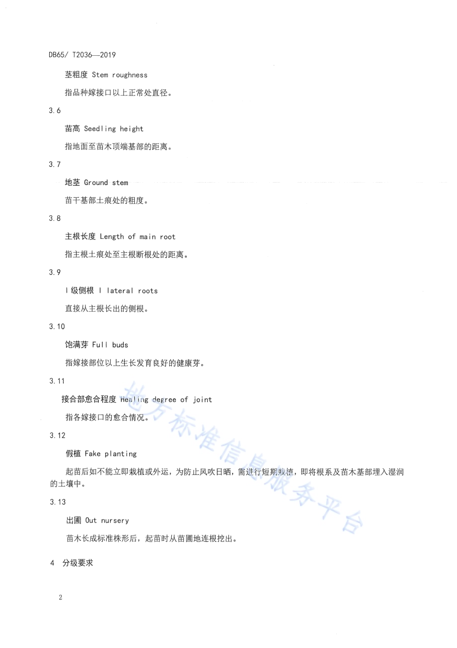 巴旦木苗木DB65／T 2036-2019.pdf_第4页