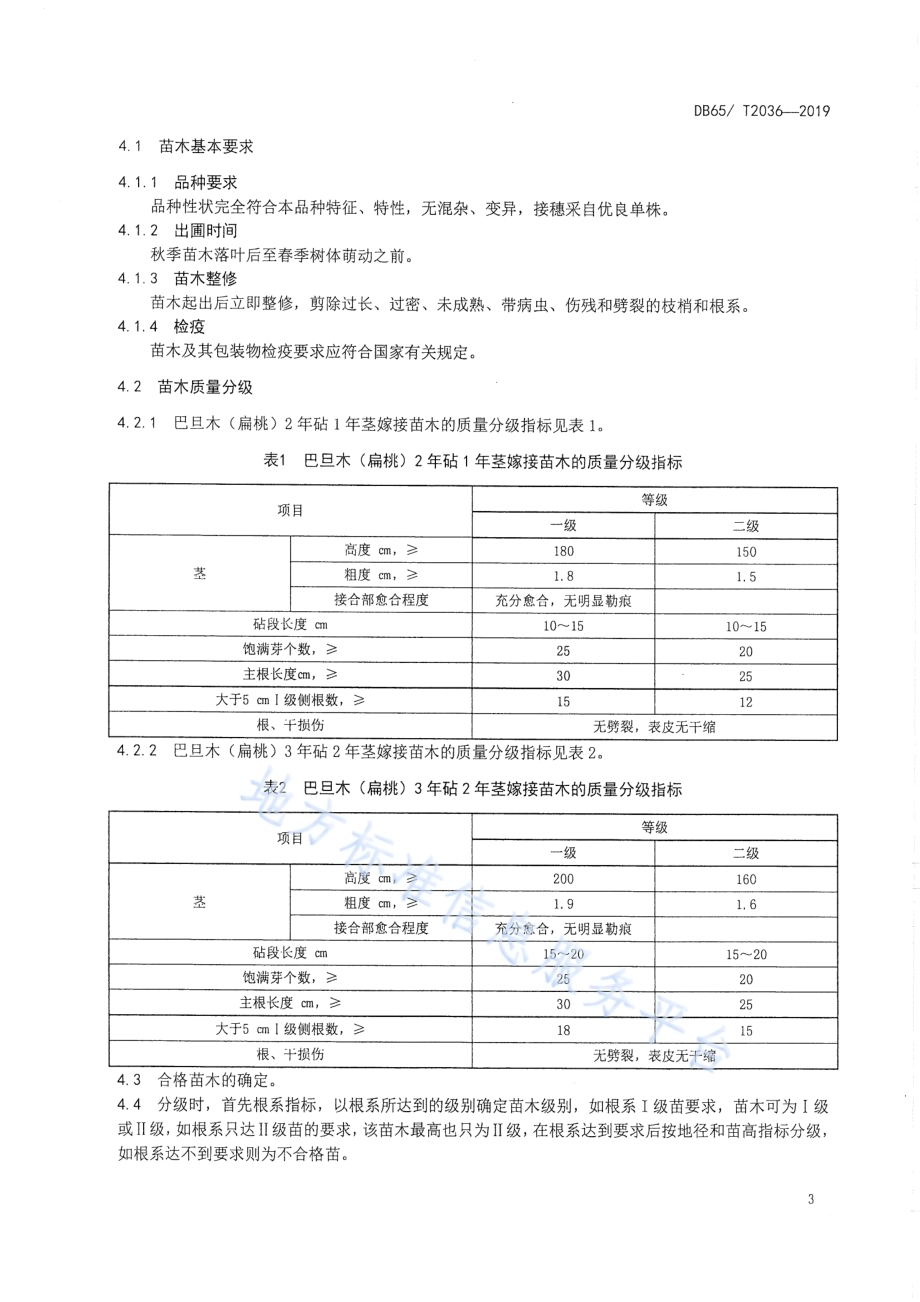 巴旦木苗木DB65／T 2036-2019.pdf_第5页