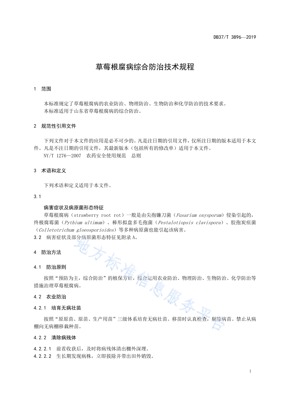 草莓根腐病综合防治技术规程DB37／T 3896—2020.pdf_第3页