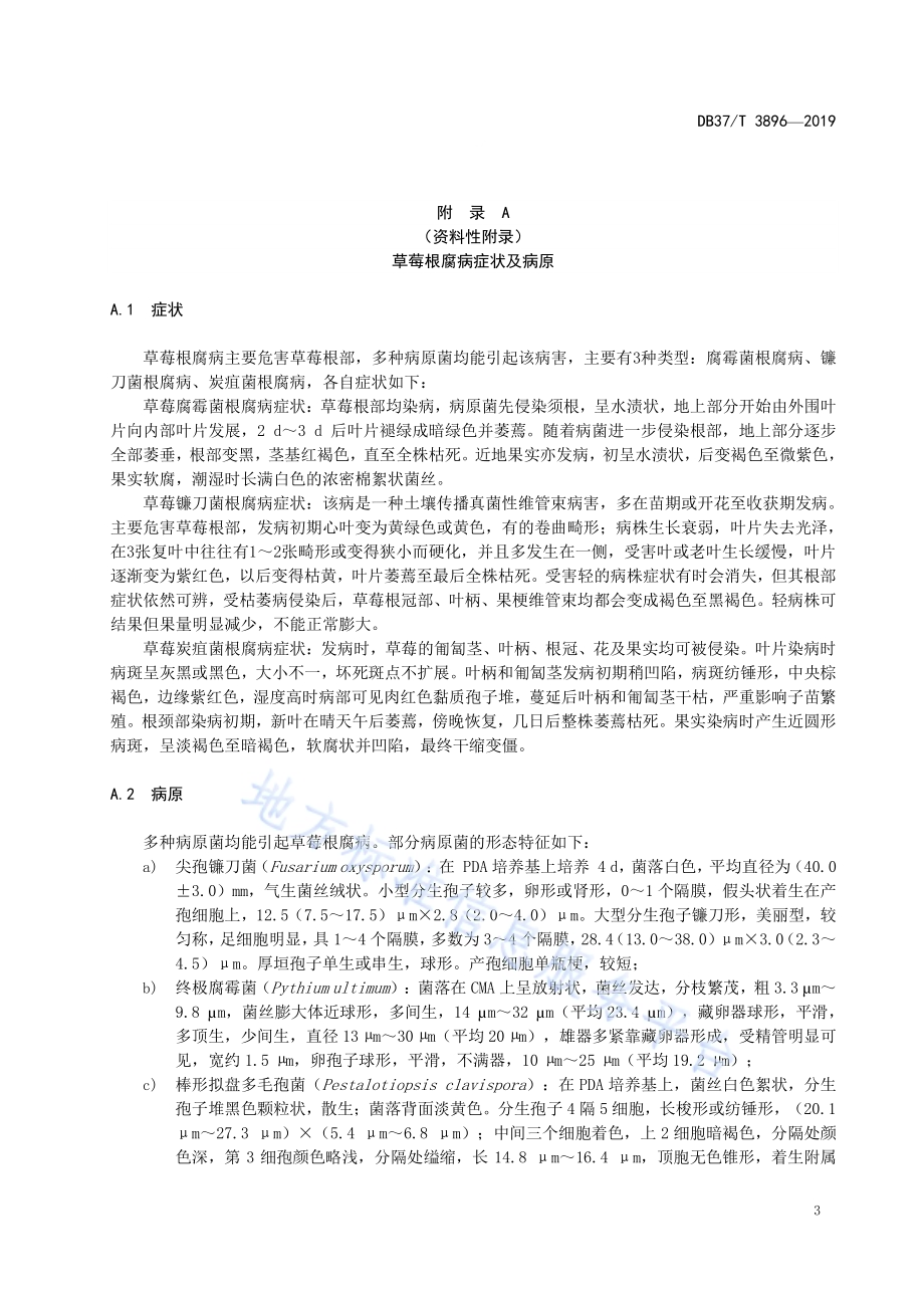 草莓根腐病综合防治技术规程DB37／T 3896—2020.pdf_第5页