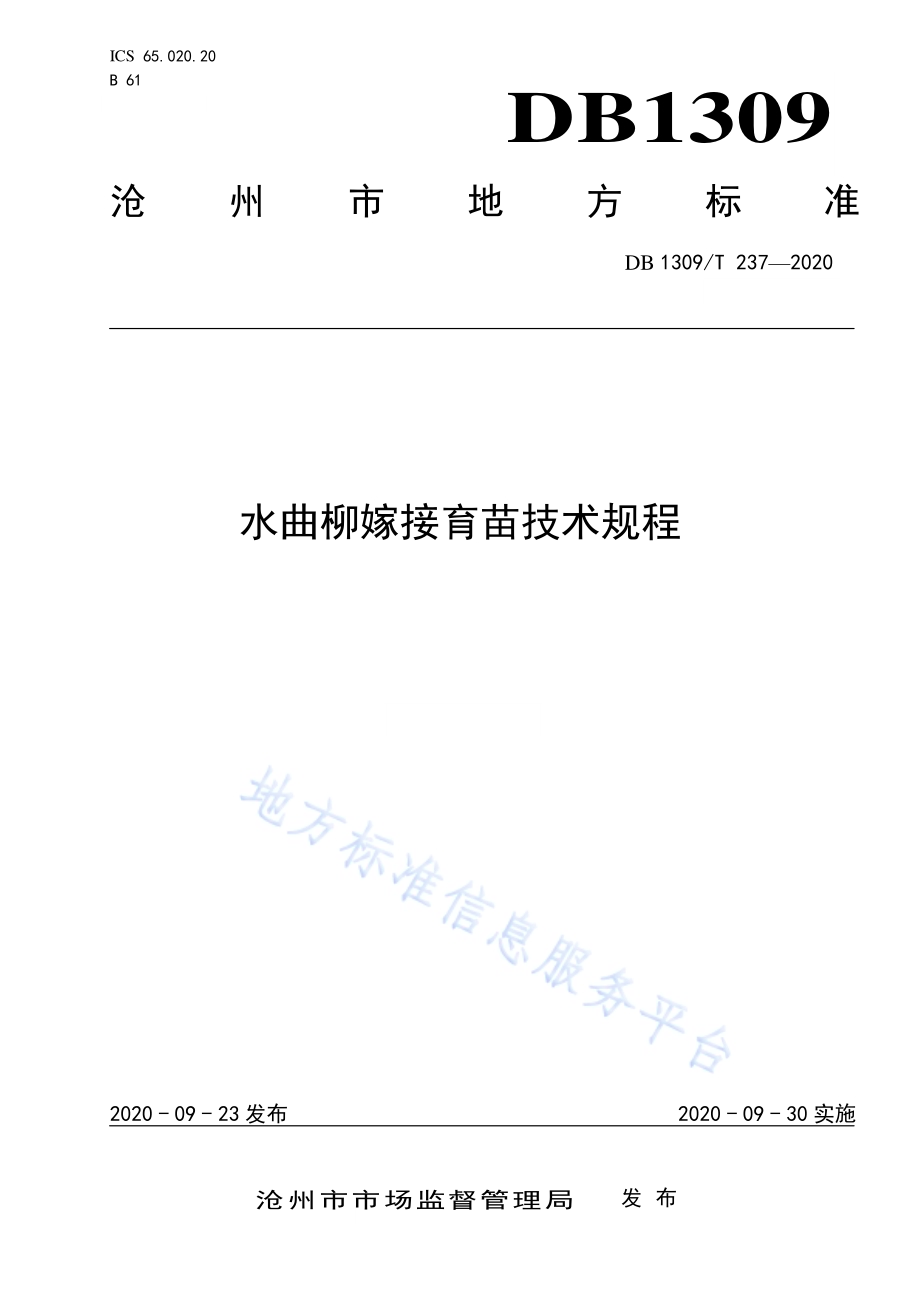 水曲柳嫁接育苗技术规程DB1309／T 237-2020.pdf_第1页