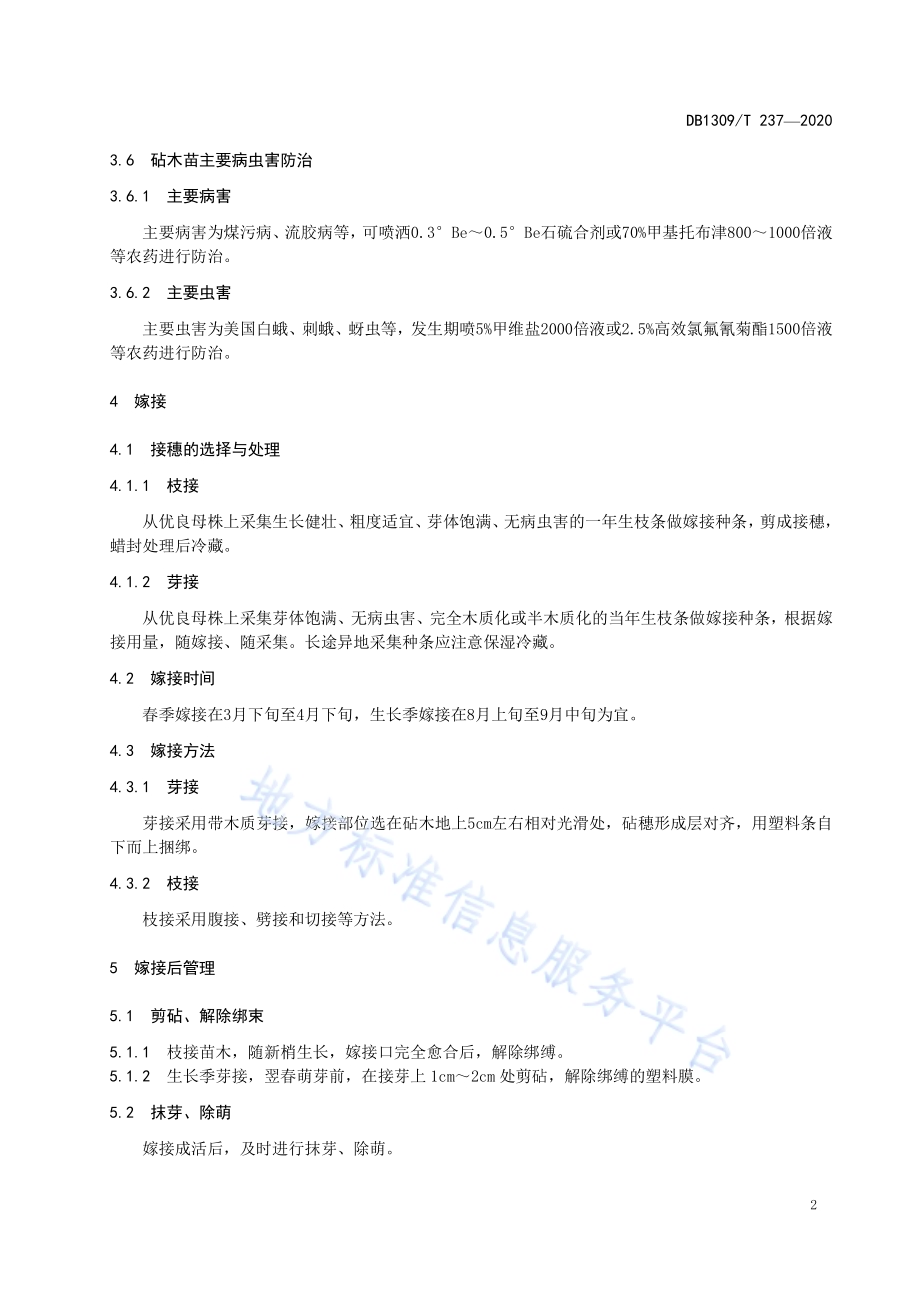 水曲柳嫁接育苗技术规程DB1309／T 237-2020.pdf_第4页