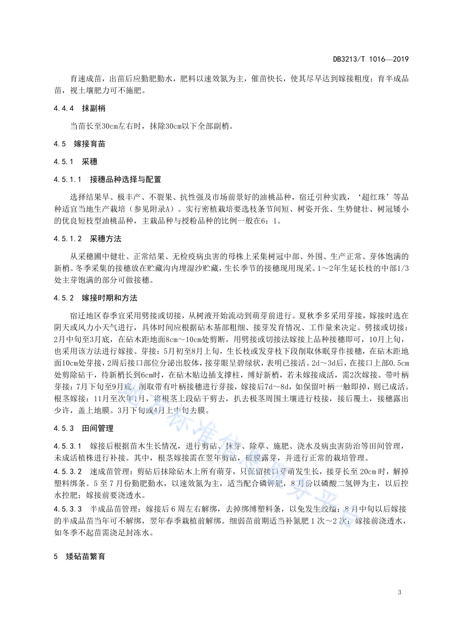 油桃种苗繁育技术规程DB3213／T 1016-2019.pdf_第5页