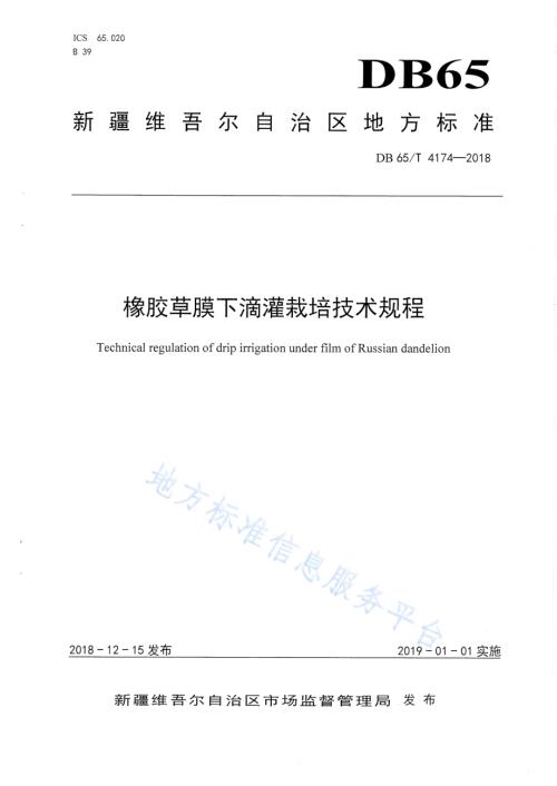橡胶草膜下滴灌栽培技术规程DB65／T 4174-2018.pdf