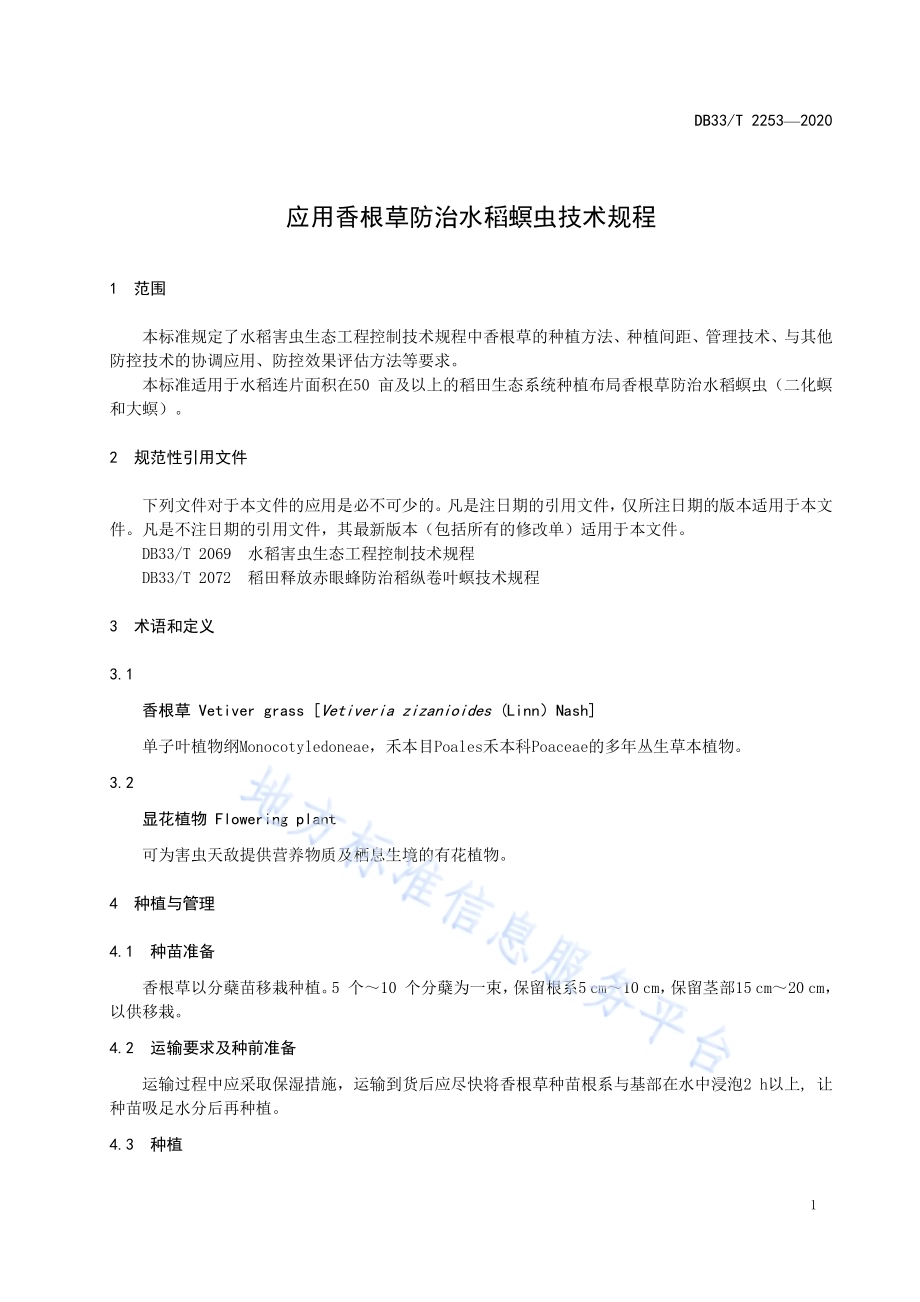 应用香根草防治水稻螟虫技术规程DB33／T 2253-2020.pdf_第5页