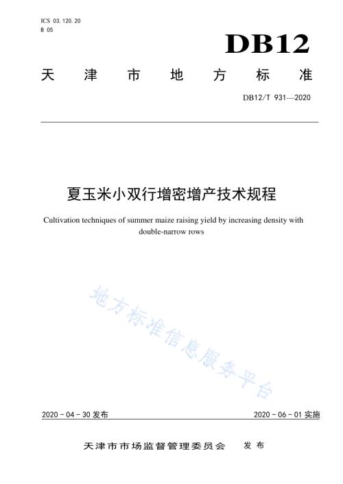 夏玉米小双行增密增产技术规程DB12／T 931-2020.pdf