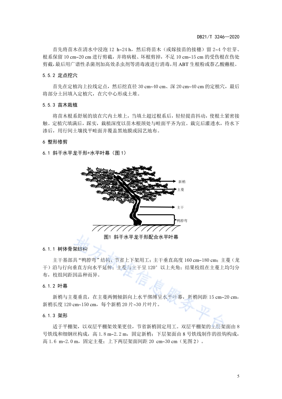 鲜食葡萄轻简化生产技术规程DB21／T 3246—2020.pdf_第5页