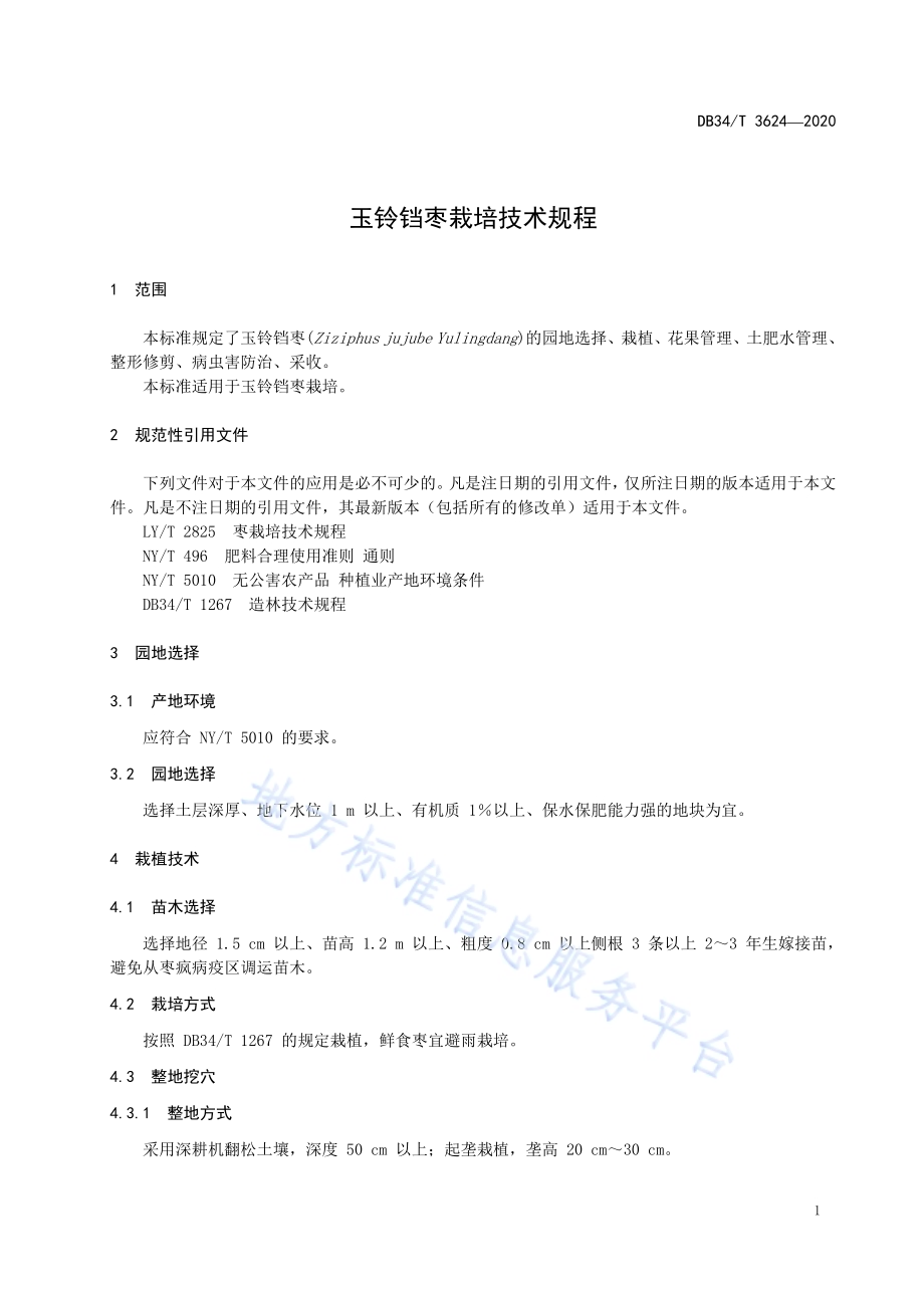 玉铃铛枣栽培技术规程DB34／T 3624-2020.pdf_第5页
