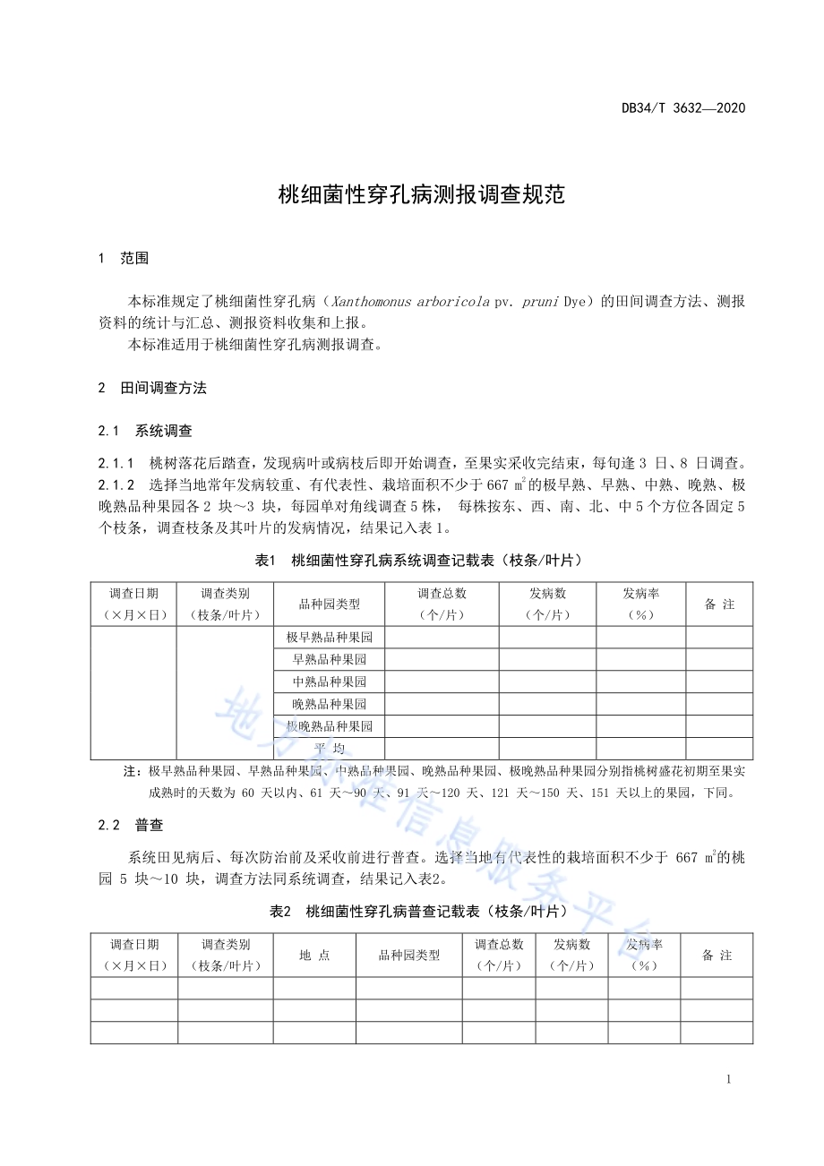 桃细菌性穿孔病测报调查规范DB34／T 3632-2020.pdf_第5页