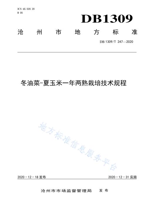 冬油菜-夏玉米一年两熟栽培技术规程DB1309／T 247-2020.pdf