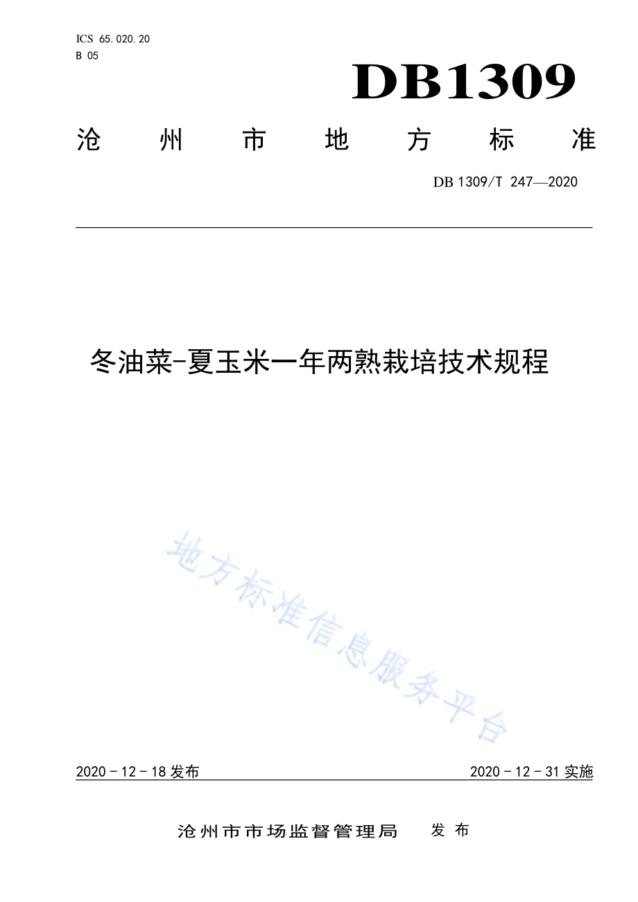 冬油菜-夏玉米一年两熟栽培技术规程DB1309／T 247-2020.pdf_第1页