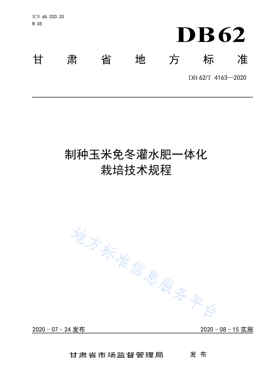 制种玉米免冬灌水肥一体化栽培技术规程DB62／T 4163-2020.pdf_第1页
