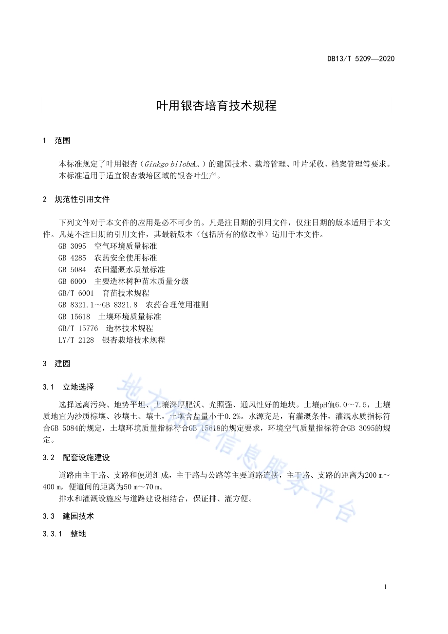 叶用银杏培育技术规程DB13／T 5209-2020.pdf_第5页