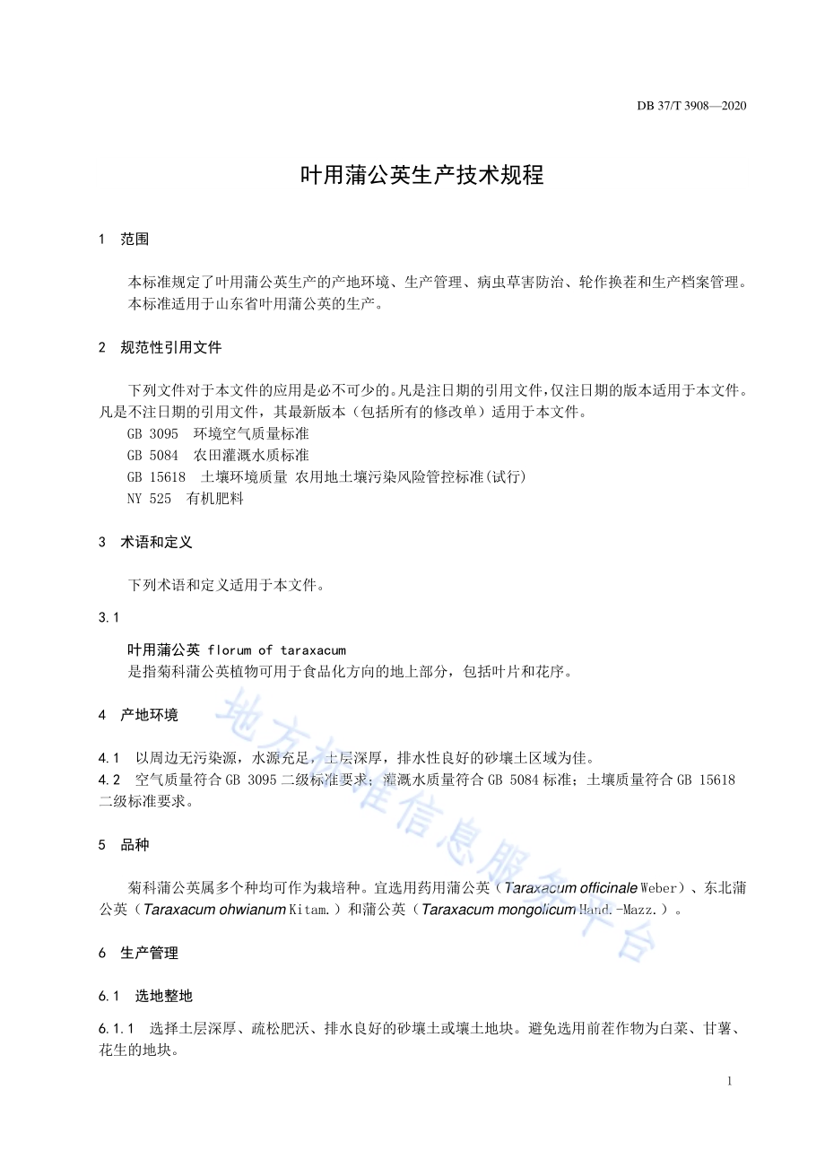 叶用蒲公英生产技术规程DB37／T 3908—2020.pdf_第3页