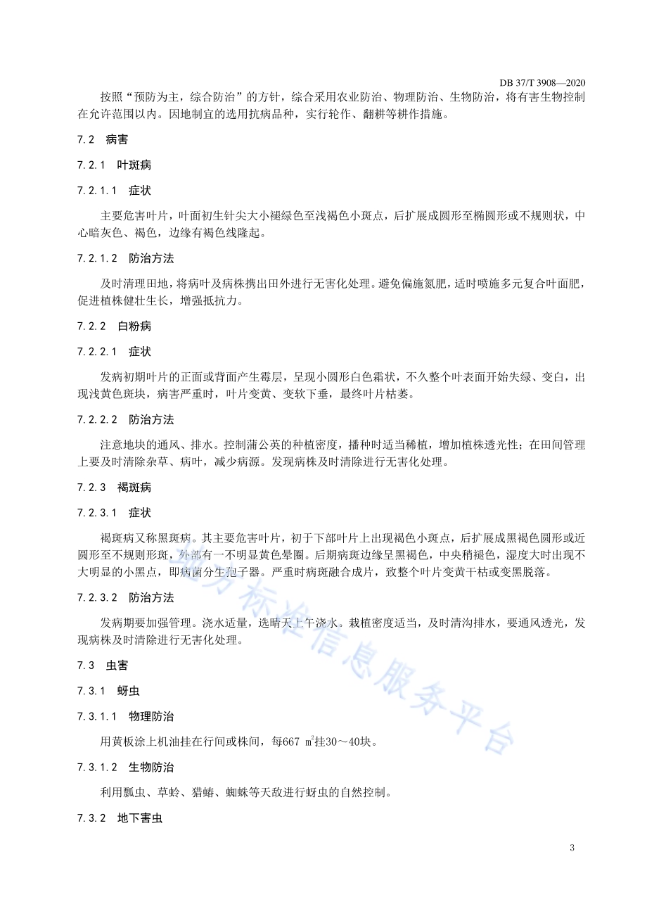 叶用蒲公英生产技术规程DB37／T 3908—2020.pdf_第5页