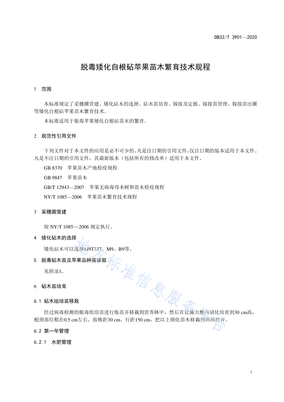 脱毒矮化自根砧苹果苗木繁育技术规程DB32／T 3901—2020.pdf_第3页