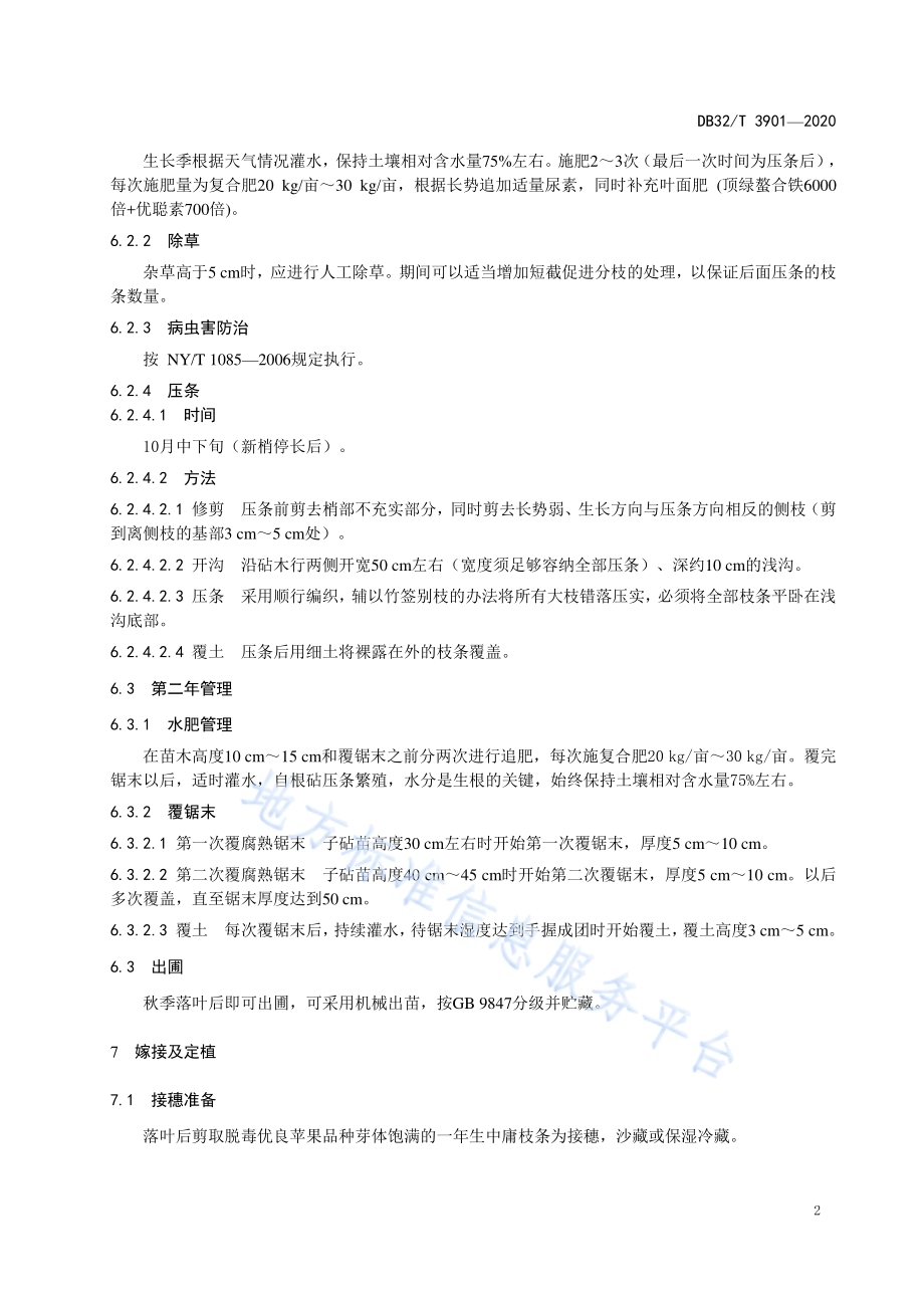 脱毒矮化自根砧苹果苗木繁育技术规程DB32／T 3901—2020.pdf_第4页