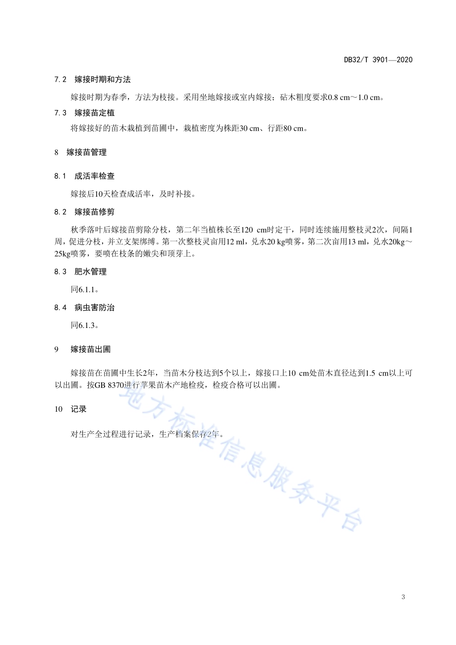 脱毒矮化自根砧苹果苗木繁育技术规程DB32／T 3901—2020.pdf_第5页
