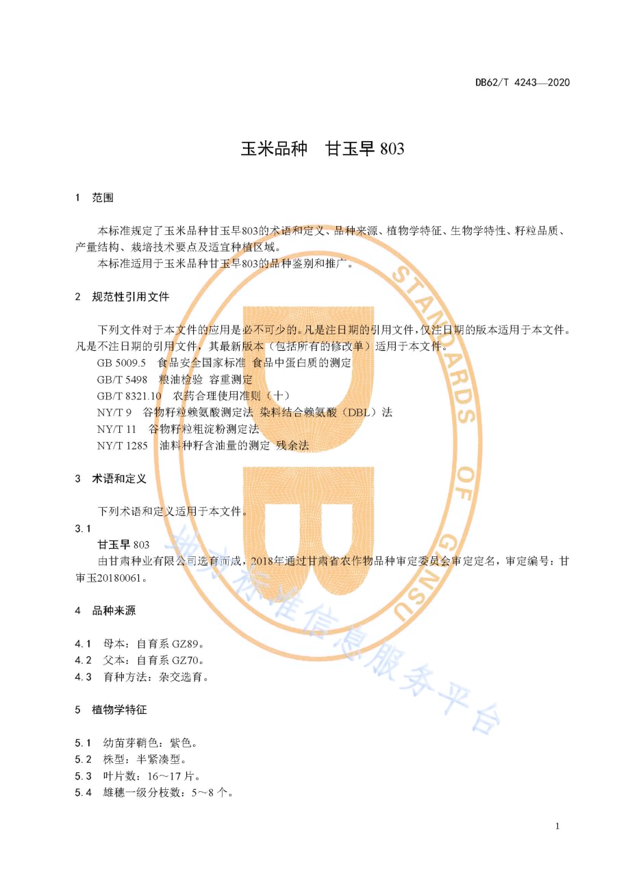 玉米品种 甘玉早803DB62／T 4243-2020.pdf_第5页