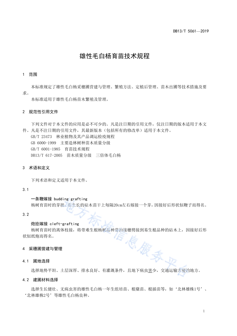 雄性毛白杨育苗技术规程DB13／T 5061-2019.pdf_第5页