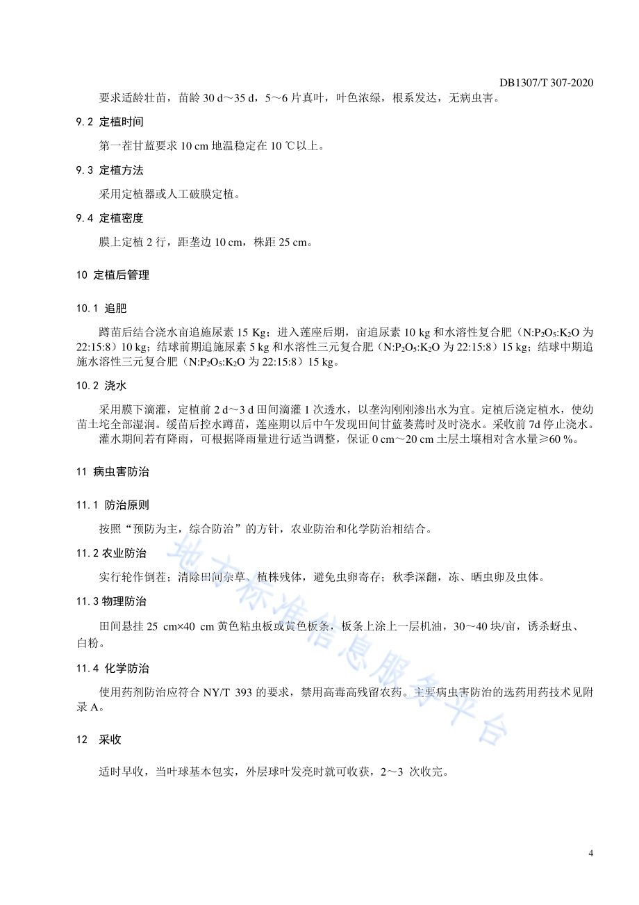 “张甘40”甘蓝栽培技术规程DB1307／T 307-2020.pdf_第5页