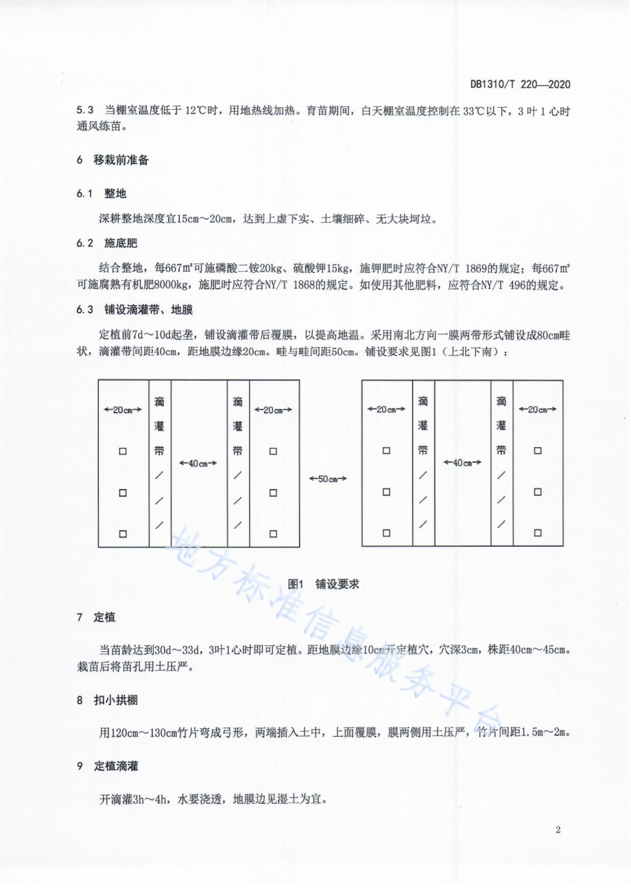 小拱棚薄皮甜瓜节水栽培技术规程DB1310／T 220-2020.pdf_第4页