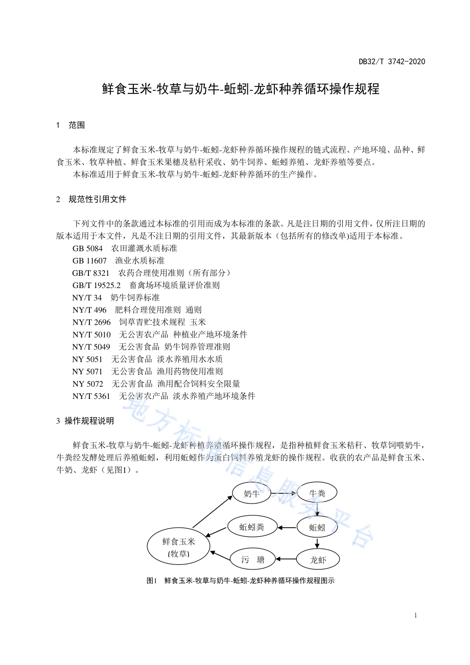 鲜食玉米-牧草与奶牛-蚯蚓-龙虾种养循环操作规程DB32／T 3742-2020.pdf_第3页