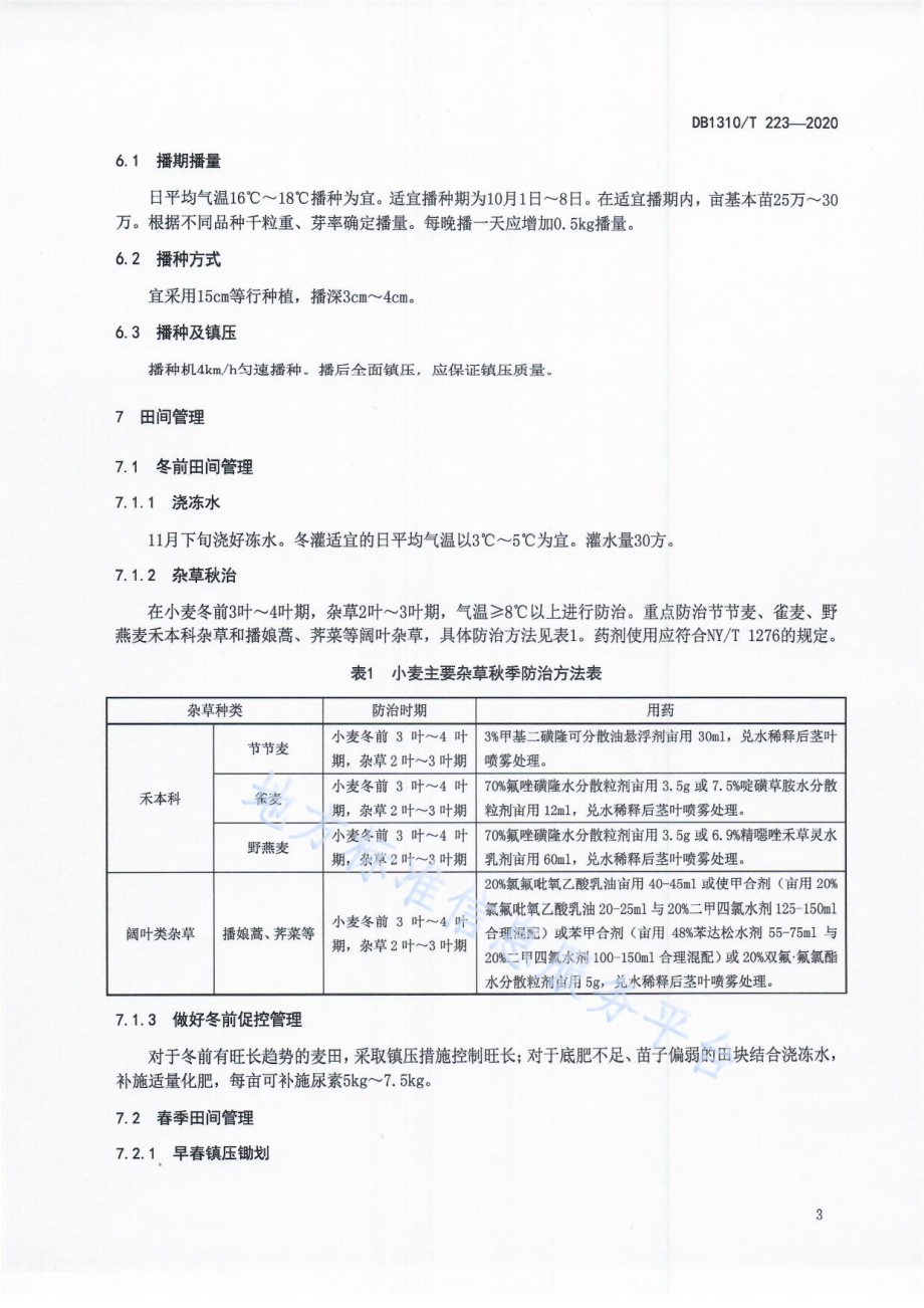 小麦节水绿色丰产栽培技术规程DB1310／T 223-2020.pdf_第5页