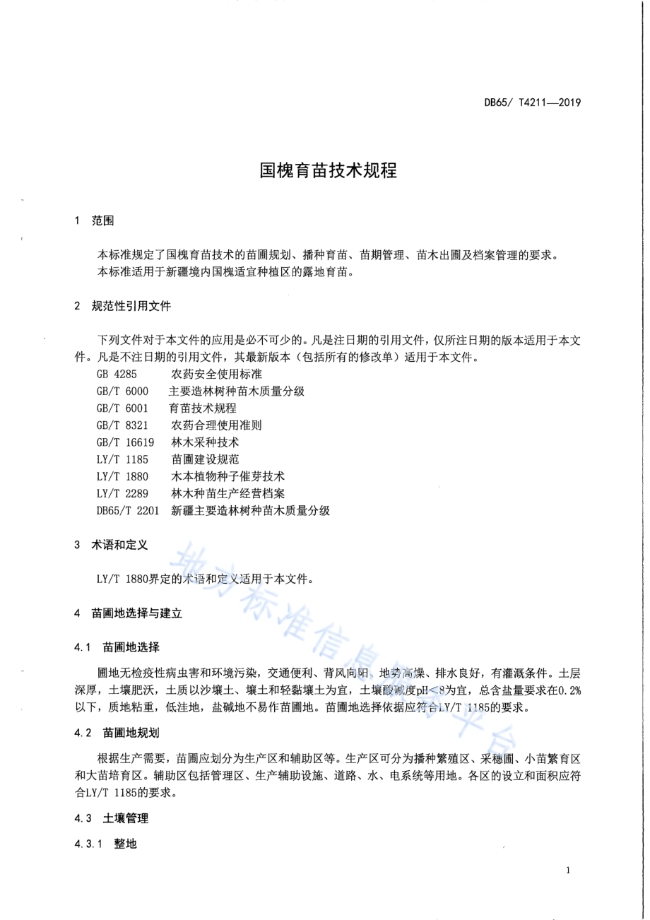 国槐育苗技术规程DB65／T 4211-2019.pdf_第5页