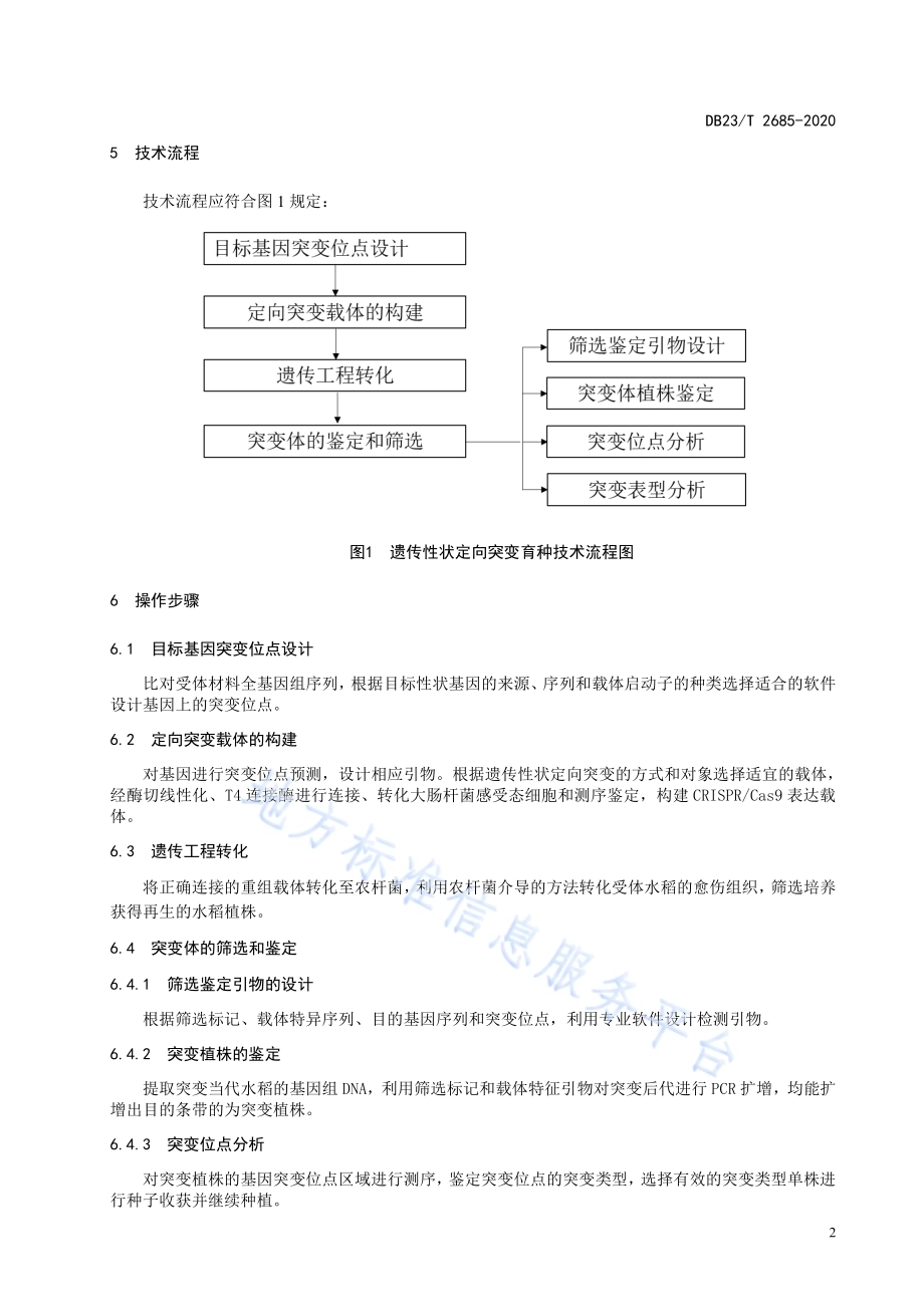 水稻遗传性状定向突变育种技术规程DB23／T 2685—2020.pdf_第4页