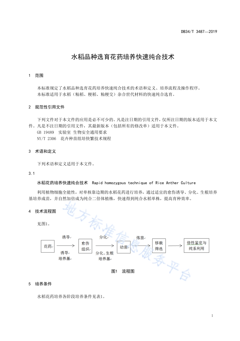 水稻品种选育花药培养快速纯合技术DB34／T 3487-2019.pdf_第5页