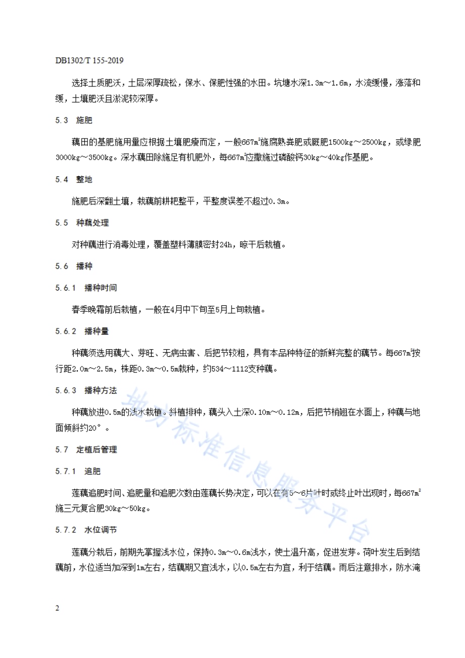 莲藕生产技术规程DB1302／T 155－2019.pdf_第4页