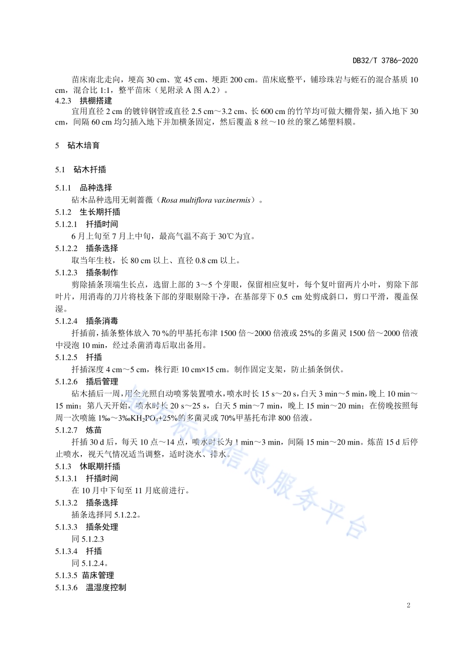 树状月季培育技术规程DB32／T 3786-2020.pdf_第4页