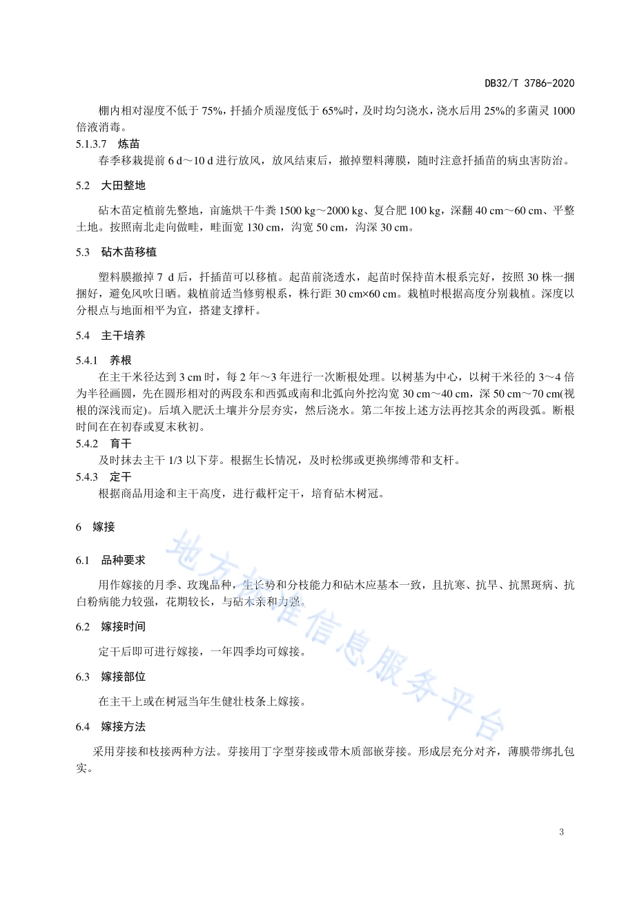 树状月季培育技术规程DB32／T 3786-2020.pdf_第5页