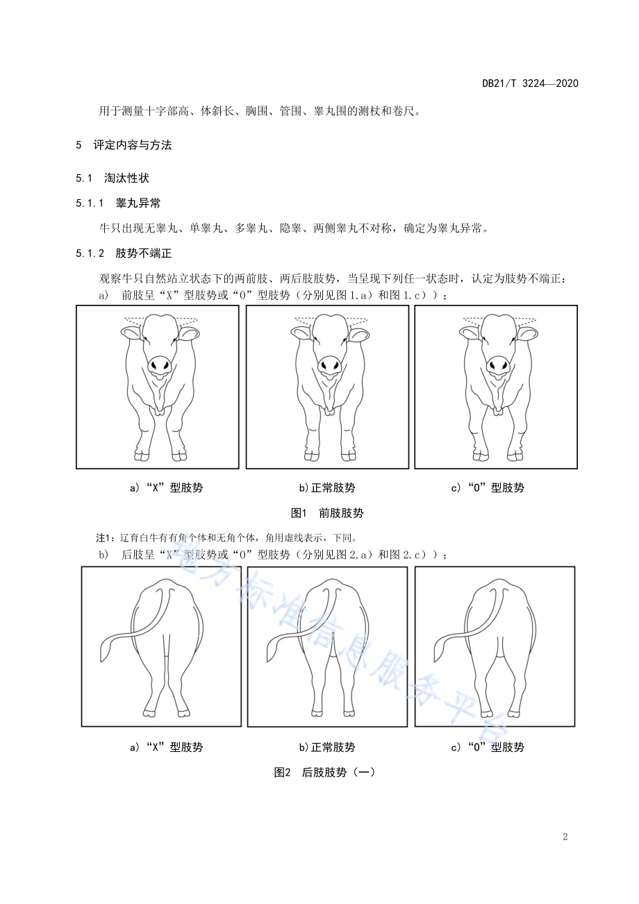 辽育白牛后备公牛体型评定技术规范DB21／T 3224-2020.pdf_第4页