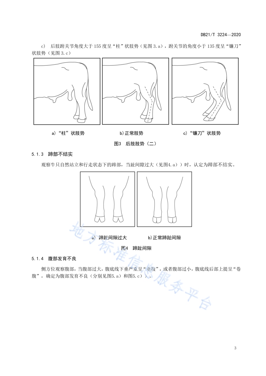 辽育白牛后备公牛体型评定技术规范DB21／T 3224-2020.pdf_第5页