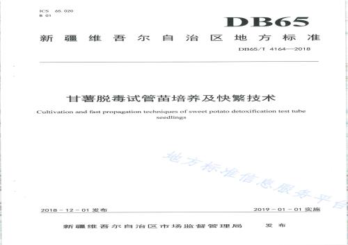 甘薯脱毒试管苗培养及快繁技术DB65／T 4164-2018.pdf